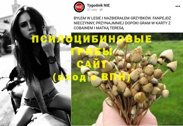 эйфоретик Сатка