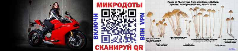 Галлюциногенные грибы мухоморы  Котельнич 